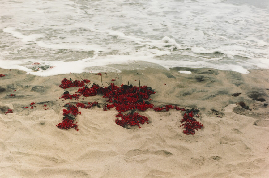 Ana Mendieta, Untitled, from the Silueta series, 1976 (1991 posthumous print), chromogenic print, 32.7 x 49.21 cm (The Museum of Contemporary Art, Los Angeles) © The Estate of Ana Mendieta Collection