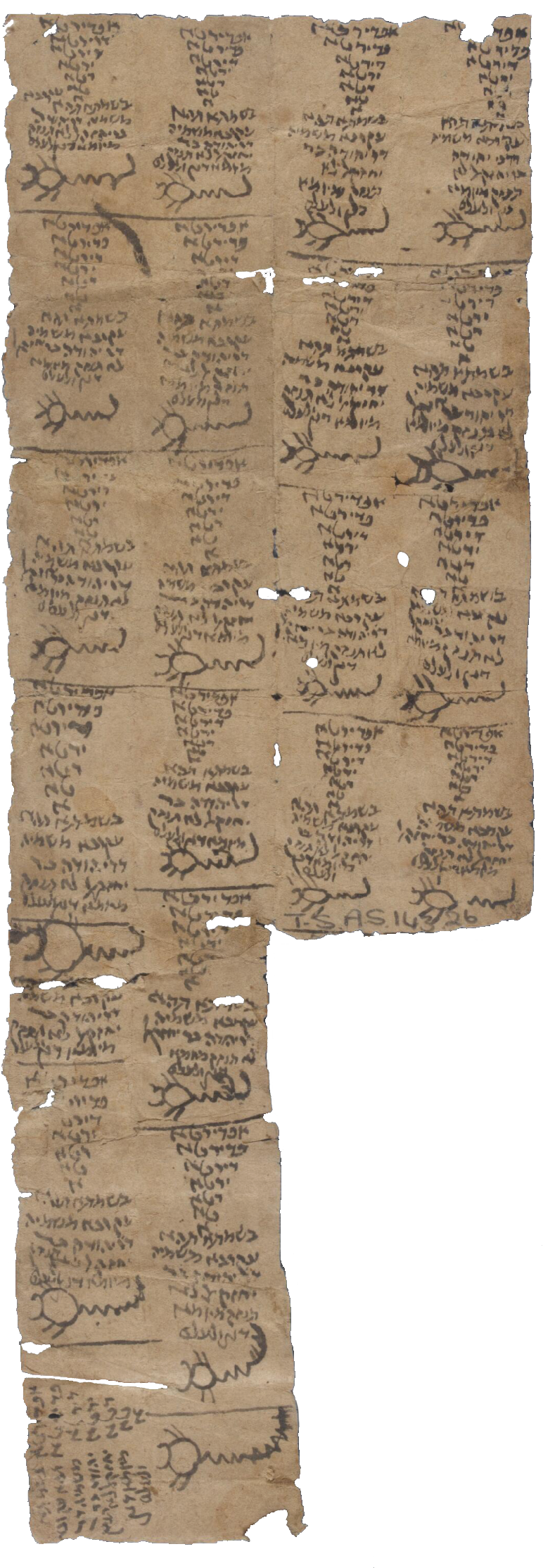 Magical amulets to protect against scorpions, designed to be worn rolled up in an amulet case around the neck, from the Cairo Geniza (Cambridge University Library, T-S AS 143.26; photo: Princeton Geniza Project)
